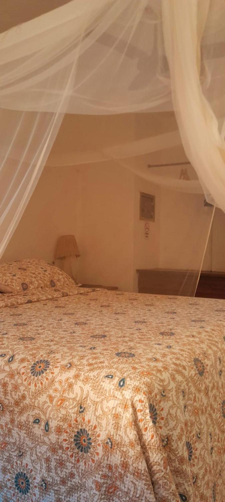 Mais Que Nada Itacare - Hostel, Bar & Breakfast Экстерьер фото